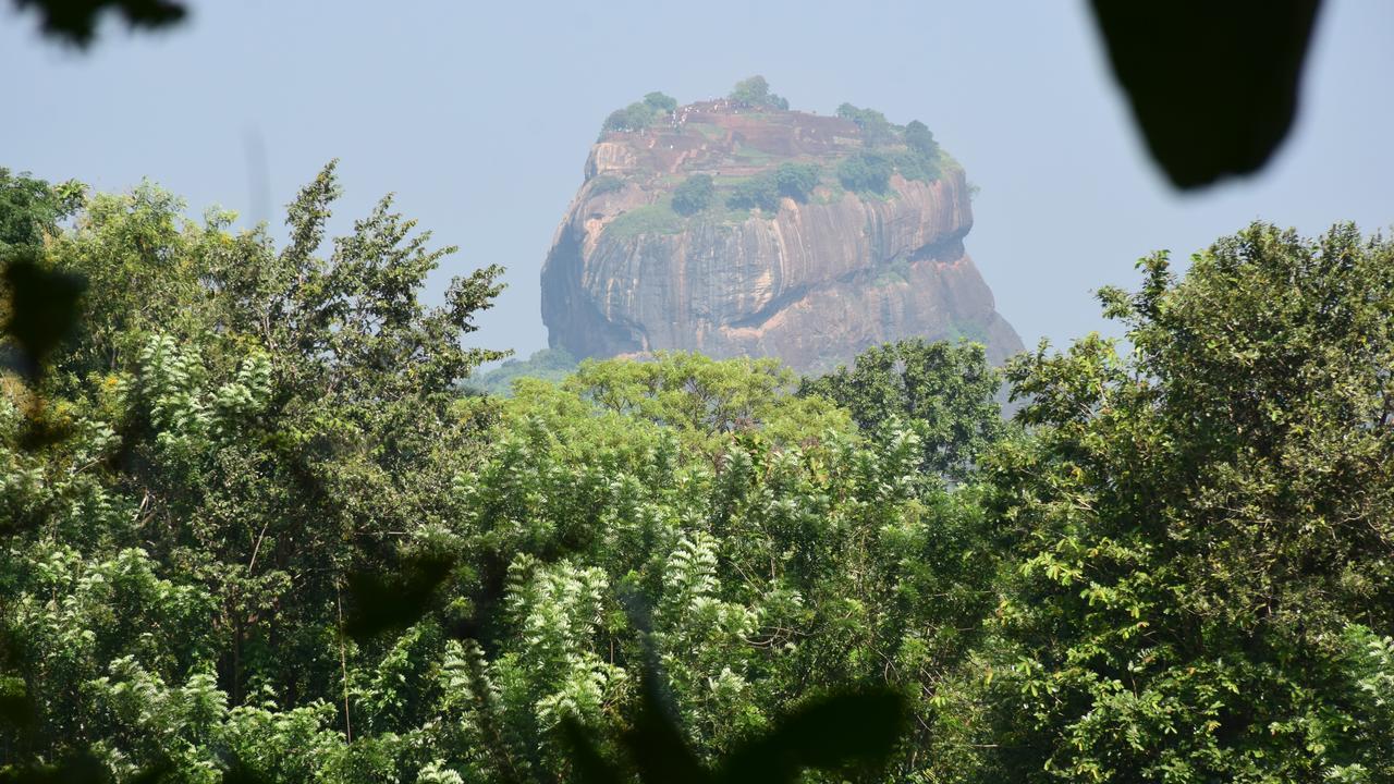 Вилла Sigiri Sarilco Rock View Treehouse Сигирия Экстерьер фото